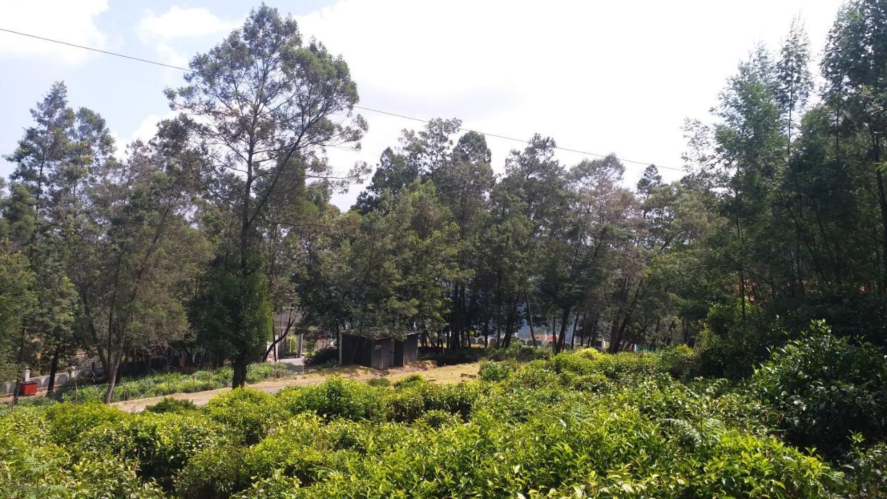 Valley View Resort ウーティ エクステリア 写真